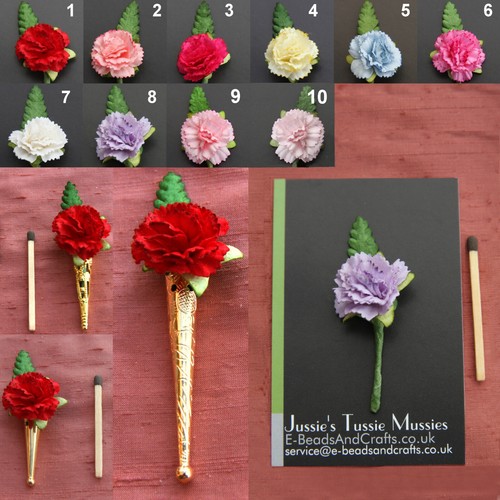 Carnation posy tussie - carnation, posy: