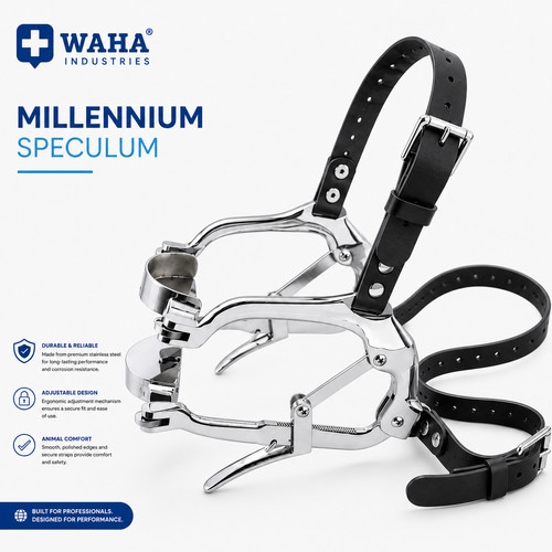 Equine dental millennium - equine,