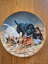 Labrador Dogs Plate 'Three to