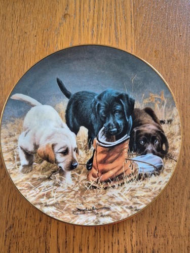Labrador dogs plate three to - labrador, 'three