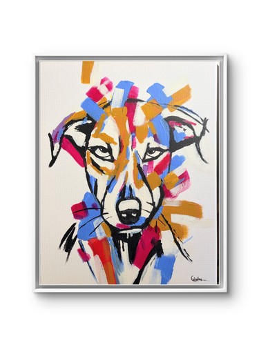 Dog colourful - x, 11,