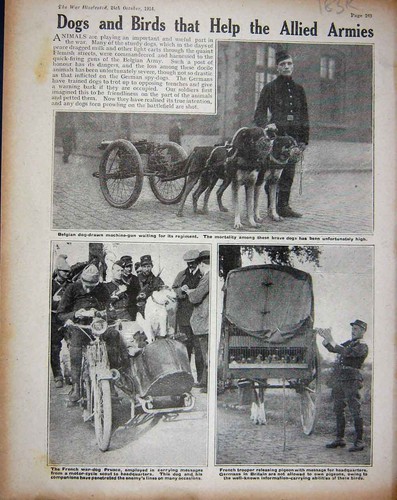 Original old antique print - old,