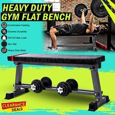 Flat Weight Bench Chest Biceps