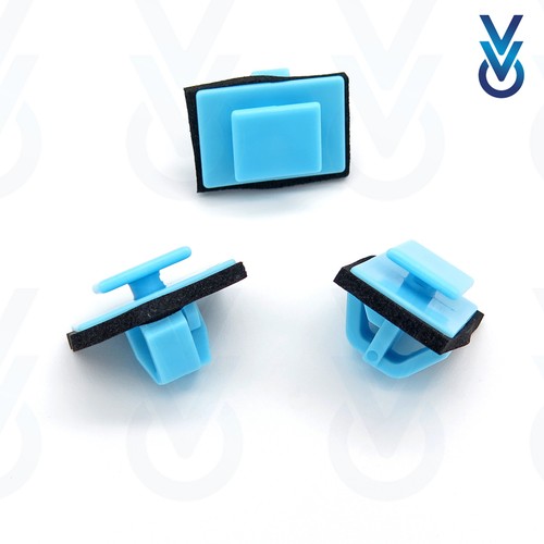 10x vvo rear - 10x, arch