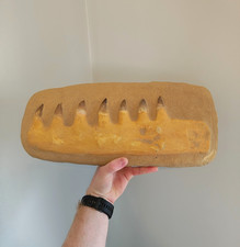 XL Fossil Mosasaur Jaw