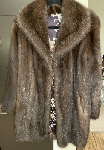 Silvery russian barguzin sable - barguzin,