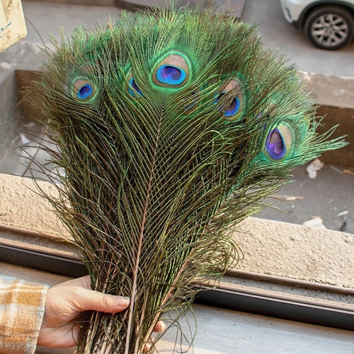 10pcs real peacock feather - 10pcs,