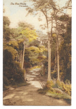 postcard - clevedon the pine