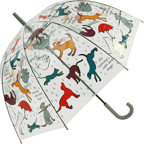 Bird swallow cats - cats, dogs