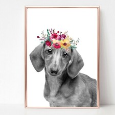 SAUSAGE DOG DACHSHUND DOXIE