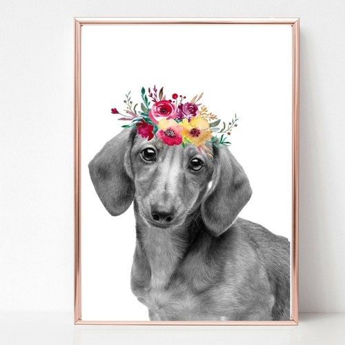 Sausage dog dachshund - sausage,