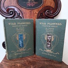 Wild Flowers Month by Month in