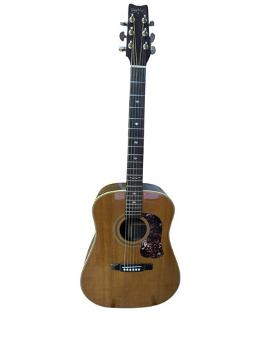 Washburn d21 with - d21,