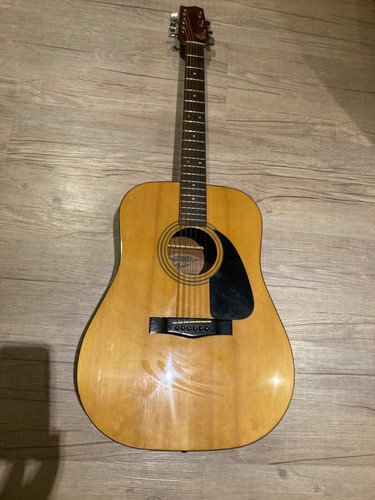 Vintage fender gemini - vintage,