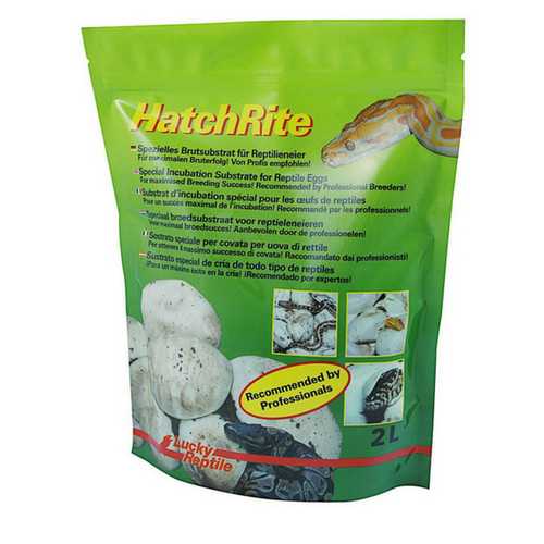 Lucky reptile hatchrite - lucky,