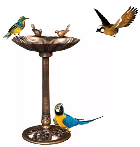 Garden bird bath - garden, feeder