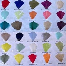 Assorted Colour Feathers Coque