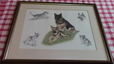 Nigel Hemming framed, signed German Shepherd Print RARE 55cm X 44cm