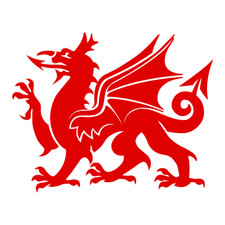 Welsh Dragon Vinyl Decal Sticker Car Camper Van Wall Art Cymru Ddraig Goch