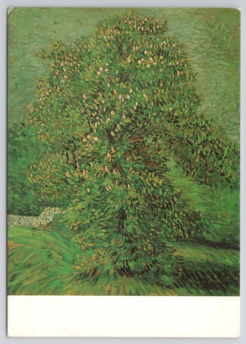 Van gogh chestnut - gogh,