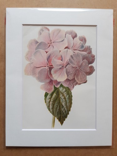 Antique chromolithograph - antique,
