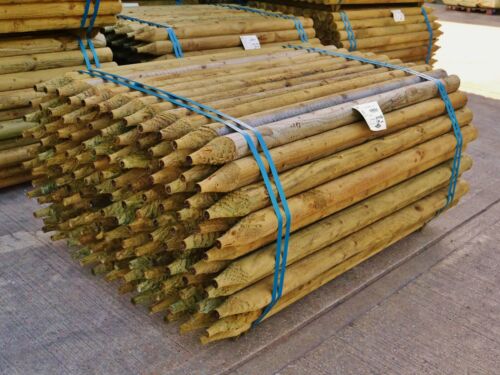 Pack 4ft x - x, 50mm