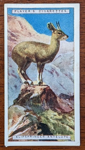 1924 john player - 1924,