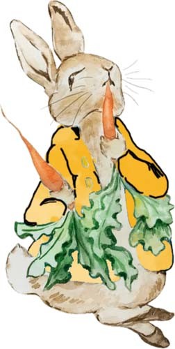Peter rabbit watercolour wall - rabbit,