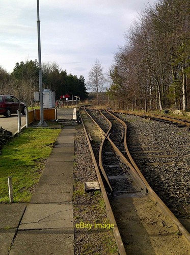 Photo 6x4 woodhorn narrow - 6x4,