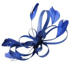 Fascinator Hair Slide Hair