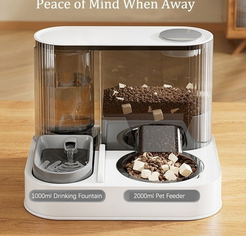 Automatic cat feeder - cat,