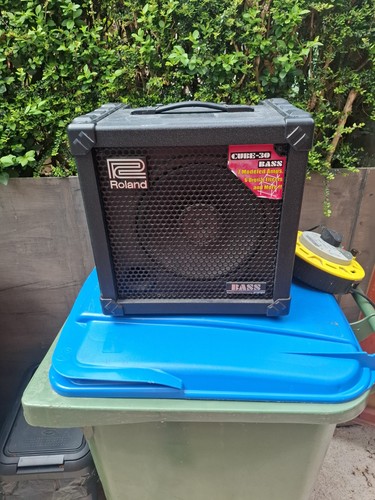 Roland cube bass - bass, guitar