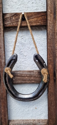 Rustic lucky horseshoe - rustic,