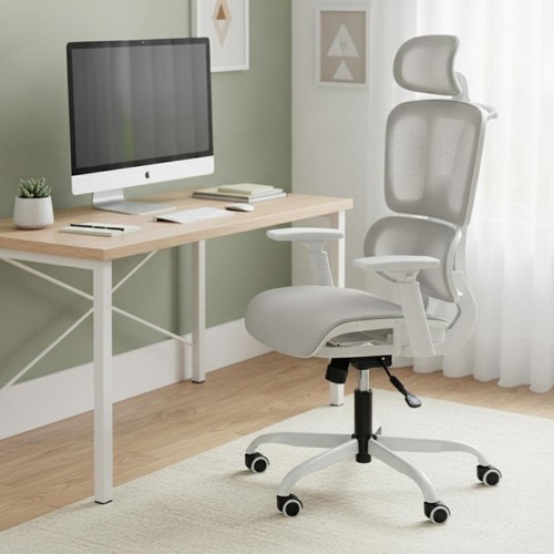 Ergonomic mesh back - mesh, seat