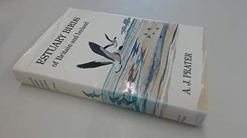 Estuary birds britain and - estuary,