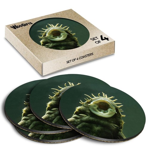 Round mdf coaster bristlenose - coaster,
