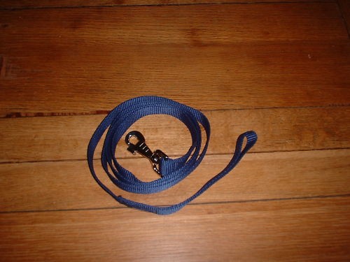 Web lead rein - line, &