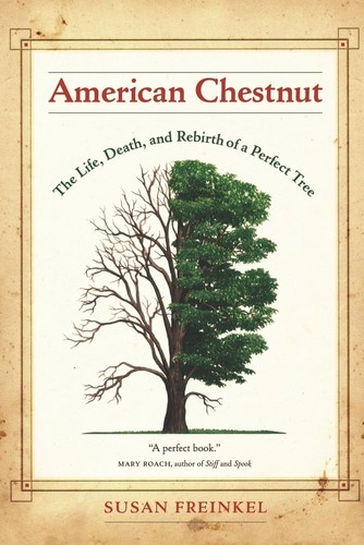 American chestnut the life - american,