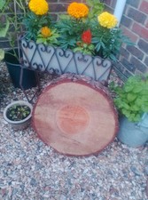 LARGE PINE WOOD SLICE COOKIE