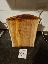 Yew hardwood half log for wood