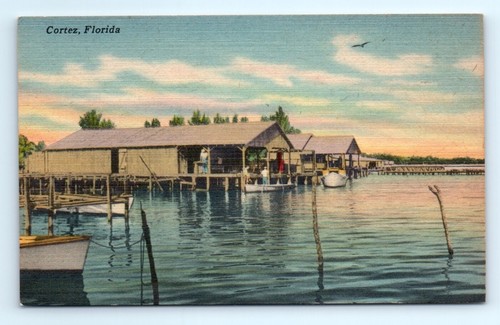 Lot 1940s fl postcard - lot, of