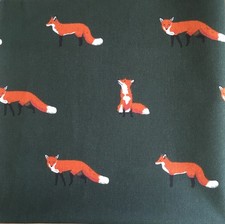 Sophie Allport Foxes / Forest