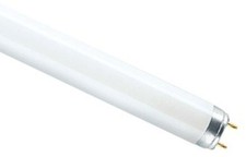T8 18W 2Ft 600mm Fluorescent