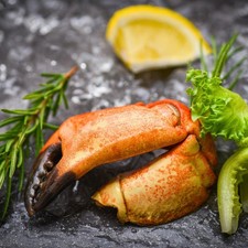 Florida Stone Crabs