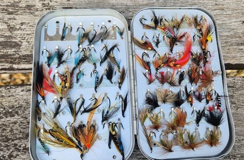 Good lot salmon and - of,