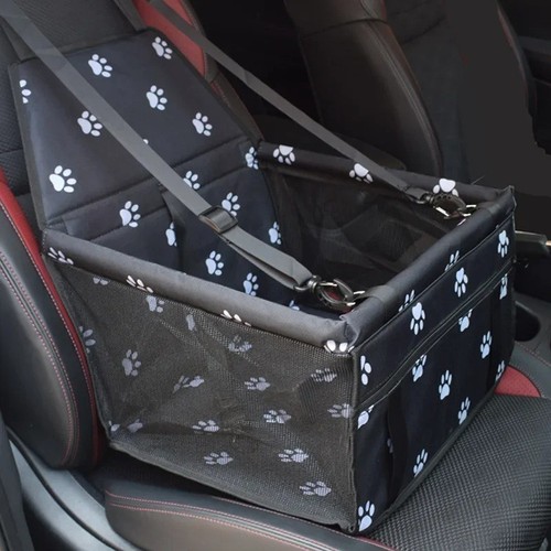 Pet dog cat car - cat, seat