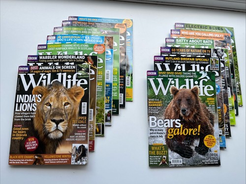 Bbc wildlife magazine - wildlife,