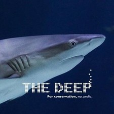 Tesco clubcard Vouchers for The DEEP in Hull £46 (Will be sent via email) 