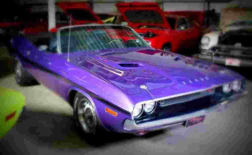 1970 dodge challenger - 1970,