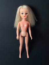 Pedigree Starlight Sindy